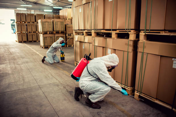 Best Cockroach Control Services  in Halesite, NY
