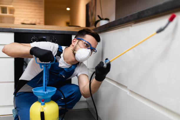 Best Pest Inspection Near Me  in Halesite, NY