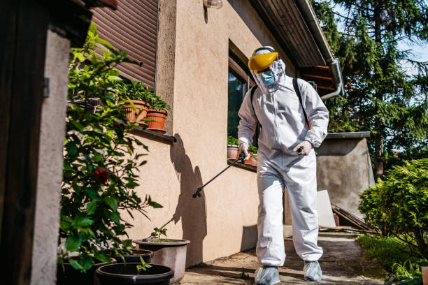 Best Flea Control Services  in Halesite, NY
