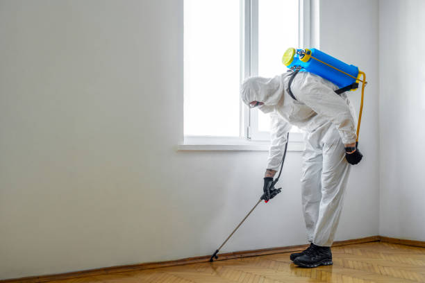 Flea Control Services in Halesite, NY