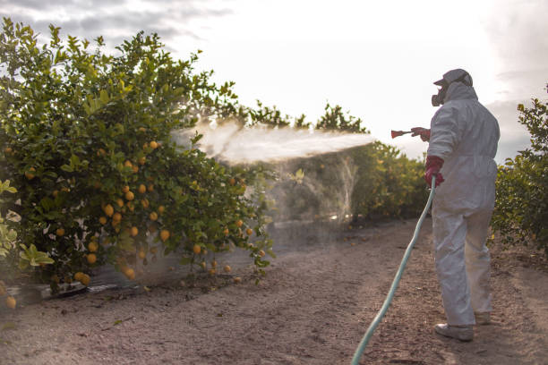 Best Pest Prevention Services  in Halesite, NY