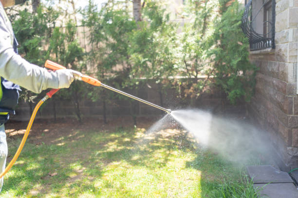 Best Best Pest Control Companies  in Halesite, NY